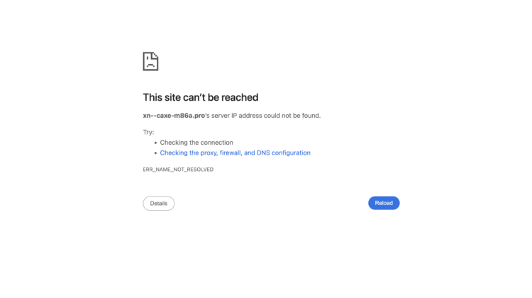 CA‑XE.pro scam